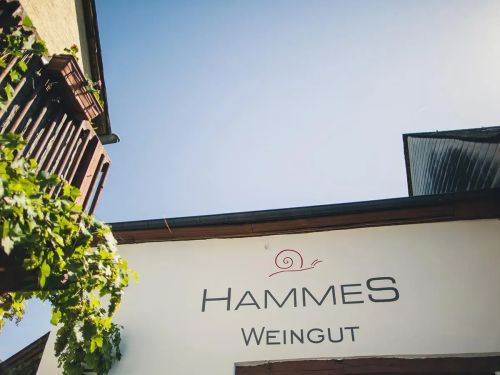 Weingut Hammes mit Weinstock vor blauem Himmel in Deutschland